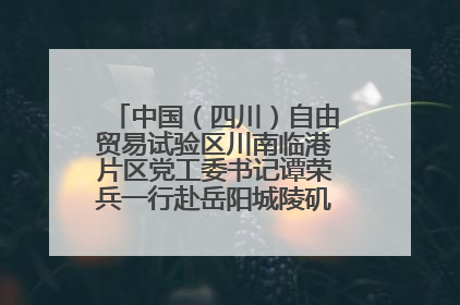 中国（四川）自由贸易试验区川南临港片区党工委书记谭荣兵一行赴岳阳城陵矶综保区考察