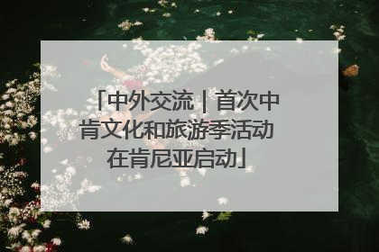 中外交流｜首次中肯文化和旅游季活动在肯尼亚启动