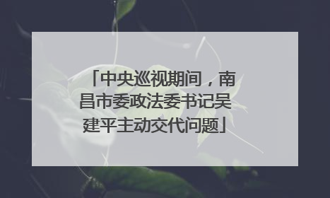中央巡视期间，南昌市委政法委书记吴建平主动交代问题