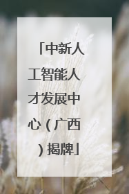 中新人工智能人才发展中心（广西）揭牌