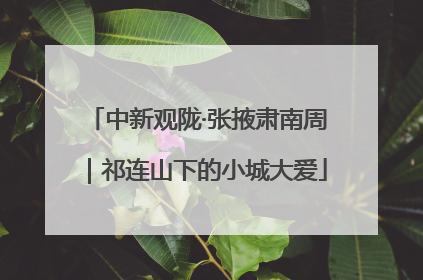 中新观陇·张掖肃南周｜祁连山下的小城大爱