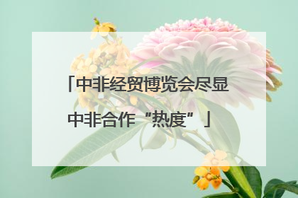 中非经贸博览会尽显中非合作“热度”