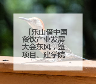乐山借中国餐饮产业发展大会东风，签项目、建学院力推“美食之都”