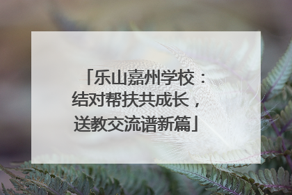 乐山嘉州学校：结对帮扶共成长，送教交流谱新篇