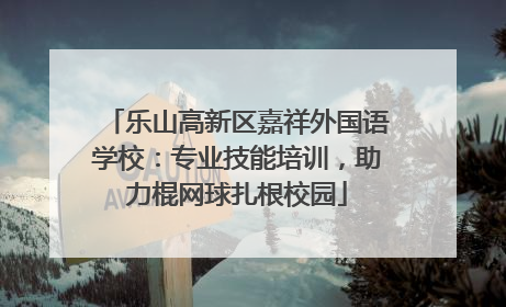 乐山高新区嘉祥外国语学校：专业技能培训，助力棍网球扎根校园