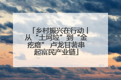乡村振兴在行动丨从“土坷垃”到“金疙瘩” 卢龙甘薯串起富民产业链