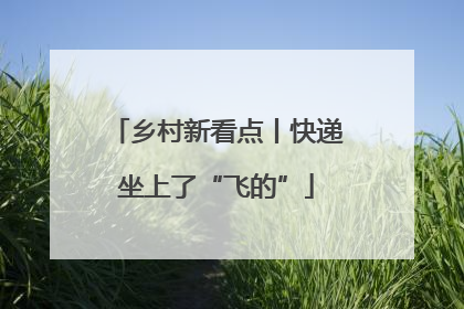 乡村新看点丨快递坐上了“飞的”