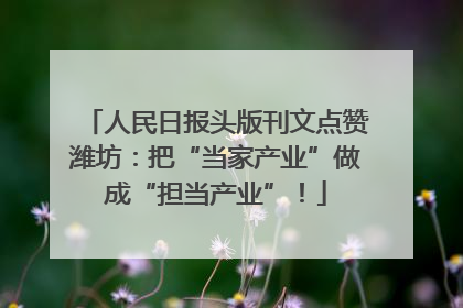 人民日报头版刊文点赞潍坊：把“当家产业”做成“担当产业”！