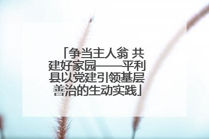 争当主人翁 共建好家园——平利县以党建引领基层善治的生动实践