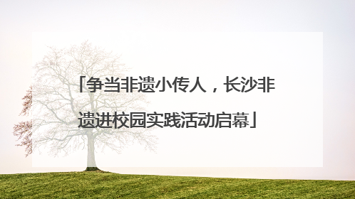 争当非遗小传人，长沙非遗进校园实践活动启幕