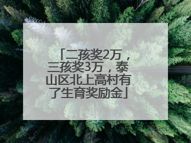 二孩奖2万，三孩奖3万，泰山区北上高村有了生育奖励金