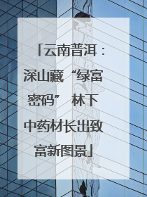 云南普洱：深山藏“绿富密码” 林下中药材长出致富新图景