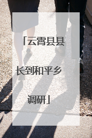 云霄县县长到和平乡调研