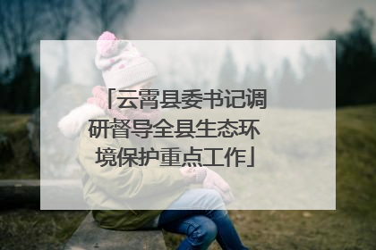 云霄县委书记调研督导全县生态环境保护重点工作