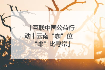 互联中国公益行动丨云南“咖”位“啡”比寻常