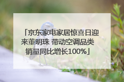 京东家电家居惊喜日迎来董明珠 带动空调品类销量同比增长100%