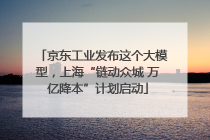 京东工业发布这个大模型，上海“链动众城 万亿降本”计划启动