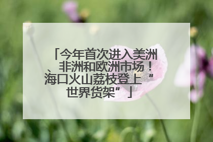 今年首次进入美洲、非洲和欧洲市场！海口火山荔枝登上“世界货架”