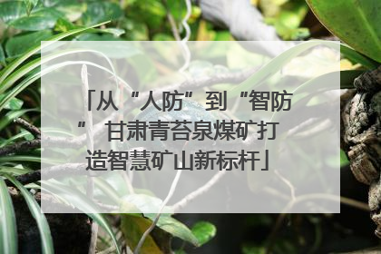 从“人防”到“智防” 甘肃青苔泉煤矿打造智慧矿山新标杆