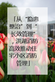 从“隐患整治”到“长效管理”，洪湖消防高效推动住宅小区消防管理
