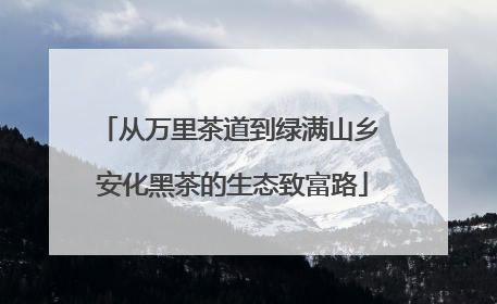 从万里茶道到绿满山乡 安化黑茶的生态致富路