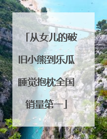 从女儿的破旧小熊到乐瓜睡觉抱枕全国销量第一