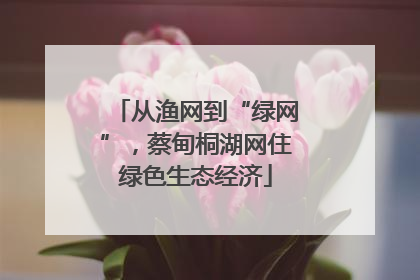 从渔网到“绿网”，蔡甸桐湖网住绿色生态经济