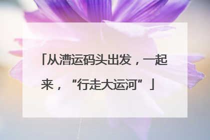 从漕运码头出发，一起来，“行走大运河”