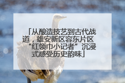 从酿造技艺到古代战道，雄安新区容东片区“红领巾小记者”沉浸式感受历史韵味