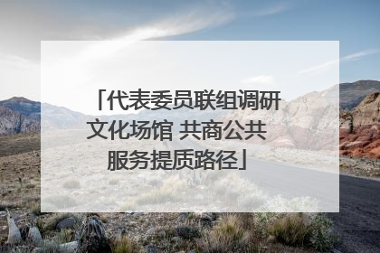 代表委员联组调研文化场馆 共商公共服务提质路径