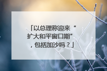 以总理称迎来“扩大和平窗口期”，包括加沙吗？
