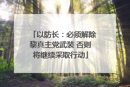 以防长：必须解除黎真主党武装 否则将继续采取行动