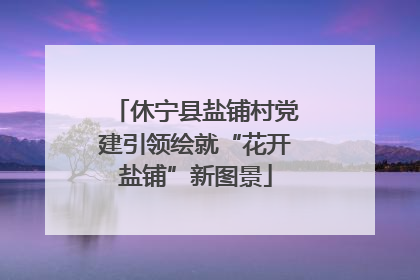 休宁县盐铺村党建引领绘就“花开盐铺”新图景