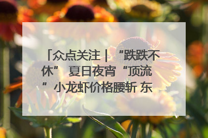 众点关注｜“跌跌不休” 夏日夜宵“顶流”小龙虾价格腰斩 东营人的快乐来了