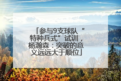 参与9支球队“特种兵式”试训，杨瀚森：突破的意义远远大于顺位