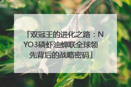 双冠王的进化之路：NYO3磷虾油蝉联全球领先背后的战略密码