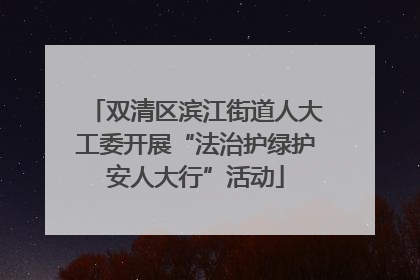 双清区滨江街道人大工委开展“法治护绿护安人大行”活动