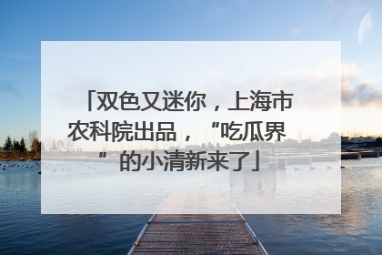 双色又迷你，上海市农科院出品，“吃瓜界”的小清新来了