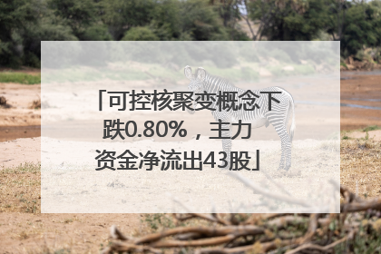 可控核聚变概念下跌0.80%，主力资金净流出43股