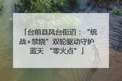 台前县凤台街道：“统战+禁烧”双轮驱动守护蓝天 “零火点”