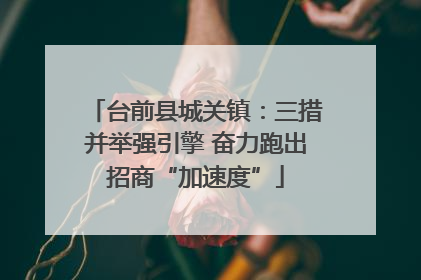 台前县城关镇：三措并举强引擎 奋力跑出招商“加速度”