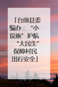 台前县委编办：“小设施”护航“大民生” 保障村民出行安全