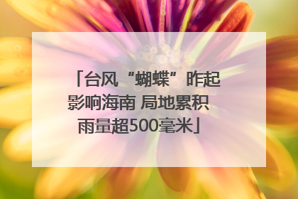 台风“蝴蝶”昨起影响海南 局地累积雨量超500毫米