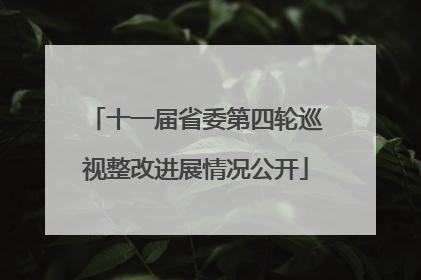十一届省委第四轮巡视整改进展情况公开