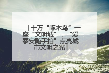 十万“啄木鸟”一座“文明城”，“爱泰安随手拍”点亮城市文明之光