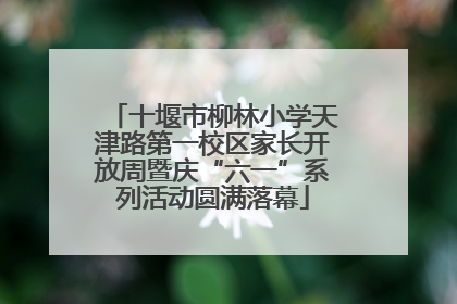 十堰市柳林小学天津路第一校区家长开放周暨庆“六一”系列活动圆满落幕