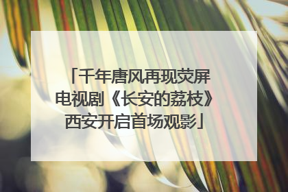 千年唐风再现荧屏 电视剧《长安的荔枝》西安开启首场观影