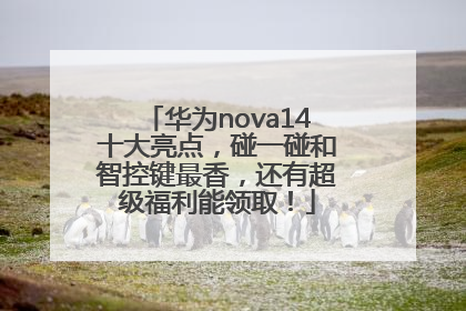 华为nova14十大亮点，碰一碰和智控键最香，还有超级福利能领取！