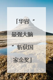 华容“最强大脑”斩获国家金奖