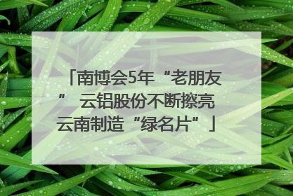 南博会5年“老朋友” 云铝股份不断擦亮云南制造“绿名片”
